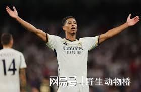 九游体育-Ning意外战胜皇家马德里，比赛规则变更引爆全场！